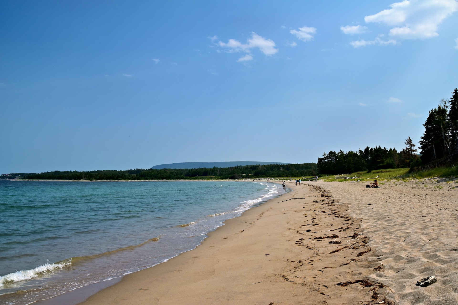 Gerakas Beach — Sandy turtle nesting beach with calm turquoise water